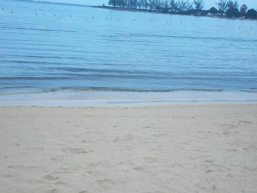 Turtle Towers Apartment Ocho Rios Exterior foto